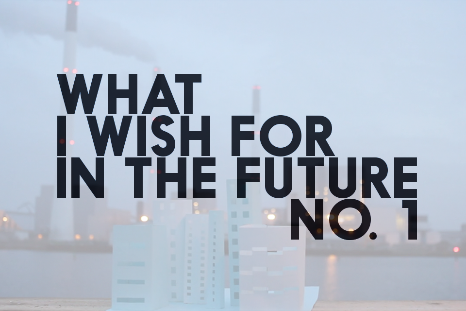 What I Wish For